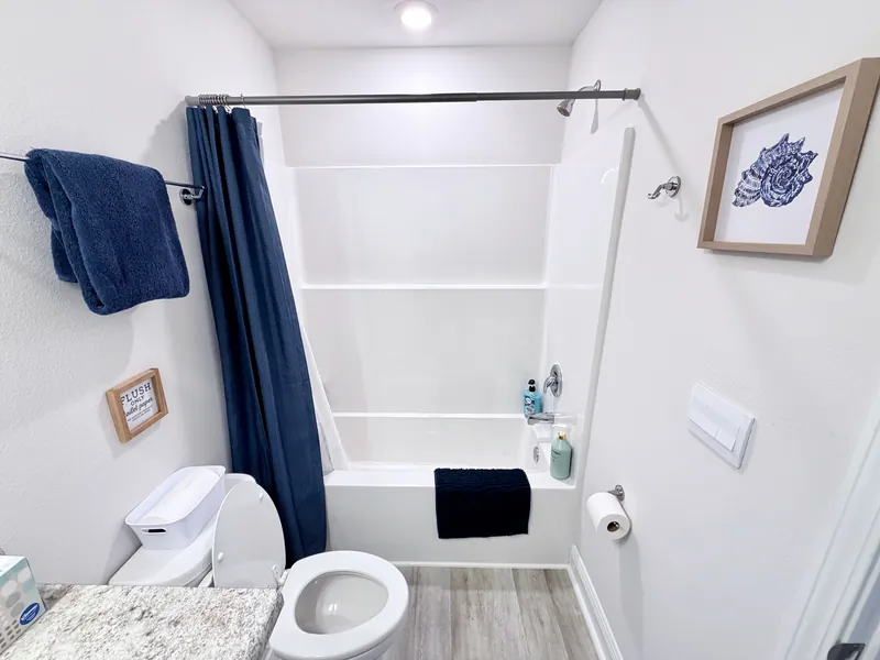 Guest bathroom vanity and mirror